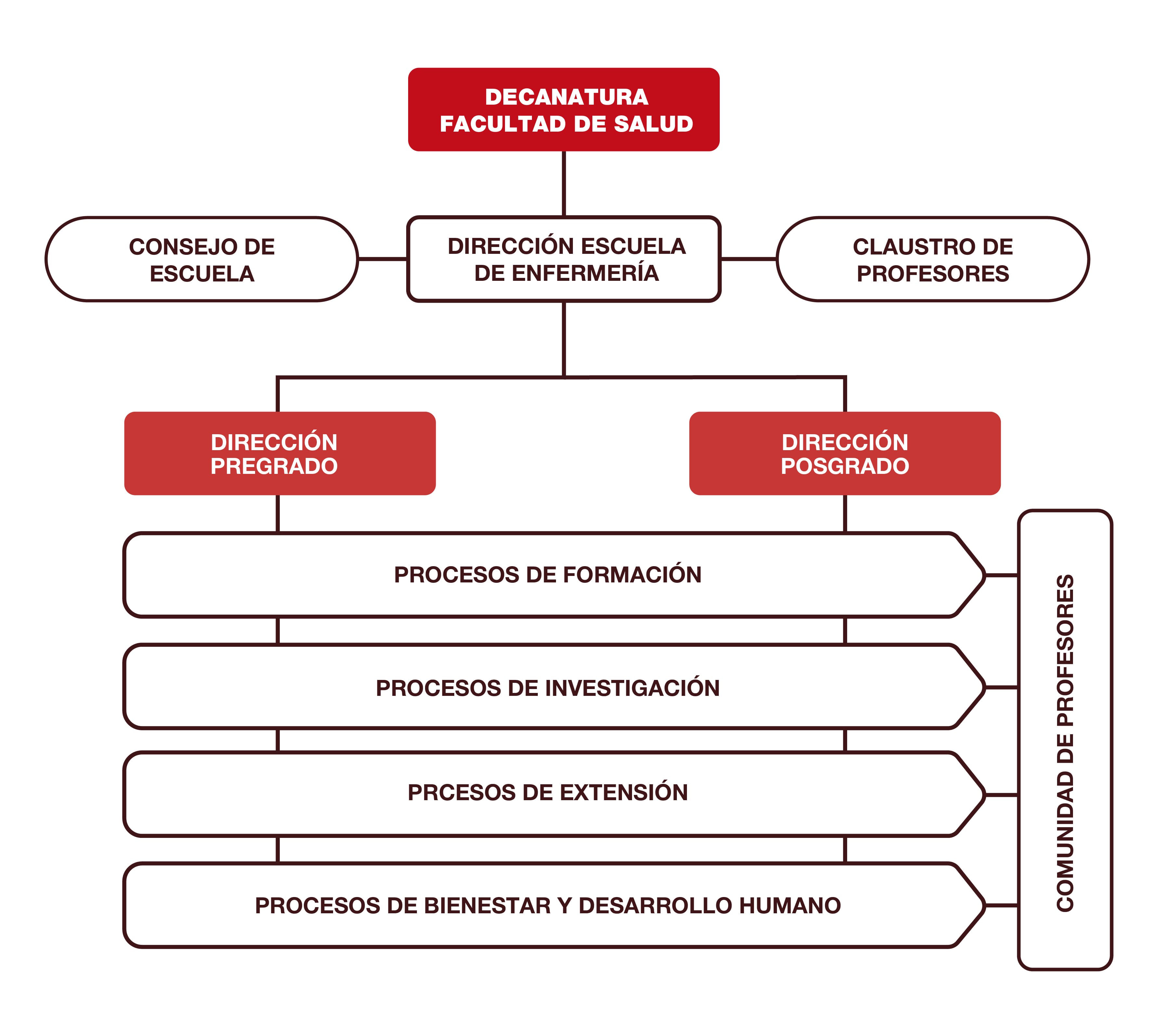 Organigrama Escuela de enfermería 01 2